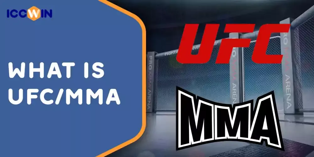 What is UFC/MMA
